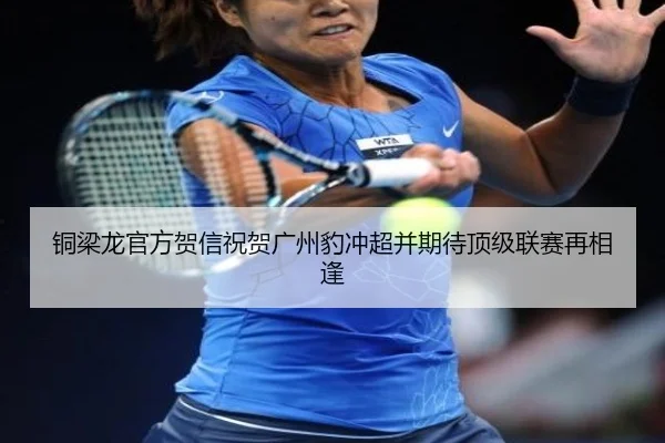 铜梁龙官方贺信祝贺广州豹冲超并期待顶级联赛再相逢（hth）